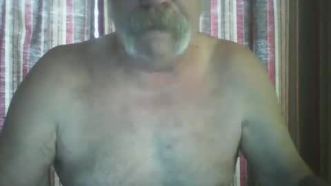 wahassa online show from December 2024 02:10:02 PM