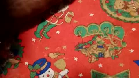 ghhhgh online show from December 2024 09:52:01 AM