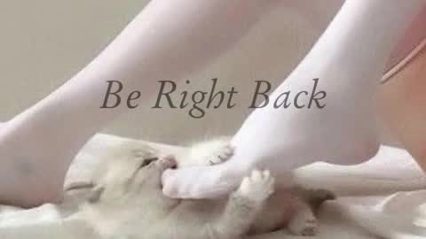 Angel A online show from November 2025 06:33:01 AM