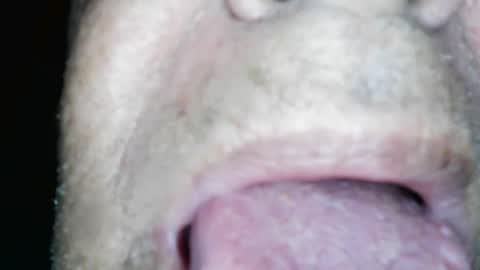 wayne1311 online show from February 2025 01:01:01 PM