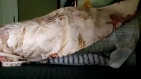 Snapshot of welldny chatting on October 2025 06:08:01 PM welldny online show from October 2025 06:08:01 PM