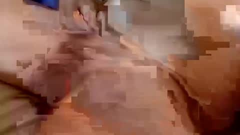 Snapshot of welldny chatting on October 2025 04:46:01 PM welldny online show from October 2025 04:46:01 PM