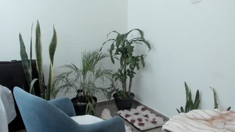 tatty online show from September 2025 07:59:01 PM