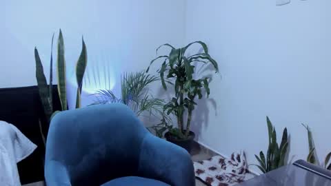 tatty online show from September 2025 11:01:02 AM