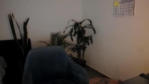 tatty online show from September 2025 11:09:02 PM
