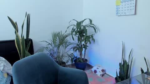 tatty online show from September 2025 05:40:02 PM