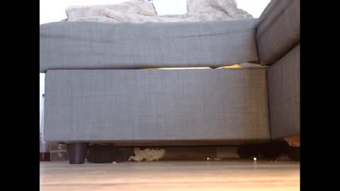 Snapshot of wet_pants2022 chatting on February 2025 04:43:02 PM wet_pants2022 online show from February 2025 04:43:02 PM