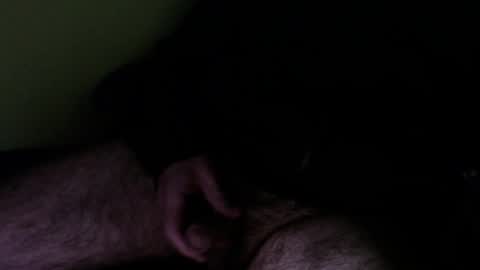 WildeAlex online show from December 2024 09:17:01 AM