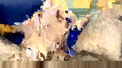 Wildhon online show from March 2025 06:16:01 PM