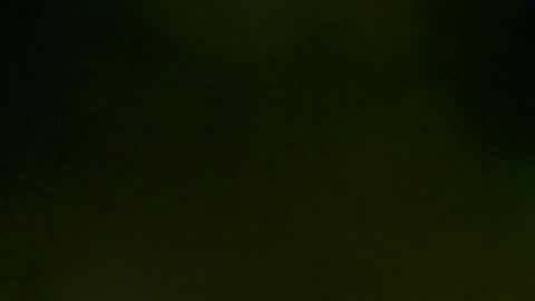 WildPersia online show from March 2025 09:08:02 PM