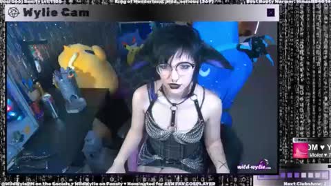 Snapshot of wildwylie chatting on January 2025 04:00:02 AM Wylie Wanderlust online show from January 2025 04:00:02 AM