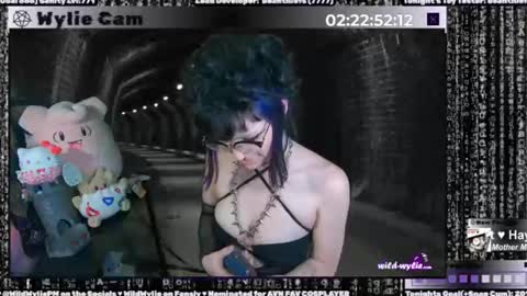 Snapshot of wildwylie chatting on January 2025 04:57:02 AM Wylie Wanderlust online show from January 2025 04:57:02 AM