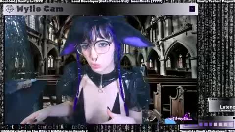 Snapshot of wildwylie chatting on January 2025 03:20:01 AM Wylie Wanderlust online show from January 2025 03:20:01 AM