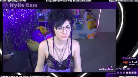 Snapshot of wildwylie chatting on February 2025 03:22:01 AM Wylie Wanderlust online show from February 2025 03:22:01 AM