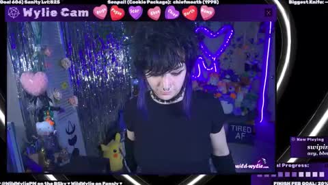 Snapshot of wildwylie chatting on February 2025 02:53:01 AM Wylie Wanderlust online show from February 2025 02:53:01 AM