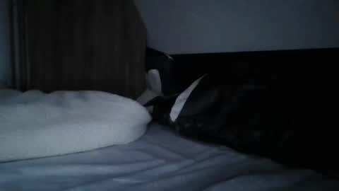 papa bear online show from February 2025 09:56:02 PM