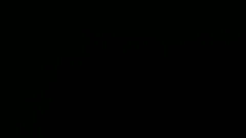 Annie online show from February 2025 02:23:01 AM