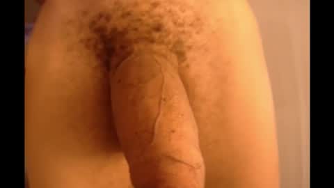 Mater online show from February 2025 03:26:01 PM