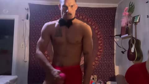 Wolfblazer online show from February 2025 11:24:01 PM