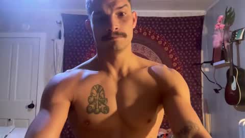 Wolfblazer online show from February 2025 10:53:01 AM