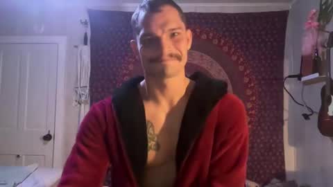Wolfblazer online show from February 2025 10:14:01 AM