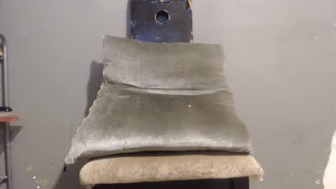 Snapshot of wonderfullight chatting on October 2025 01:33:02 AM SHENIEL RODRIGUEZ online show from October 2025 01:33:02 AM