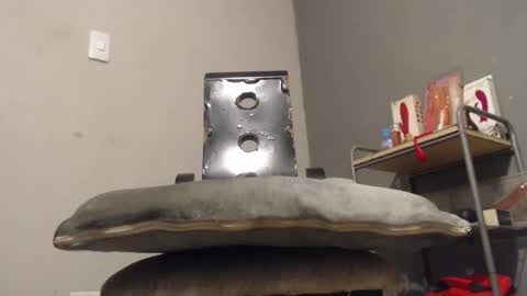 Snapshot of wonderfullight chatting on December 2025 11:00:02 PM SHENIEL RODRIGUEZ online show from December 2025 11:00:02 PM