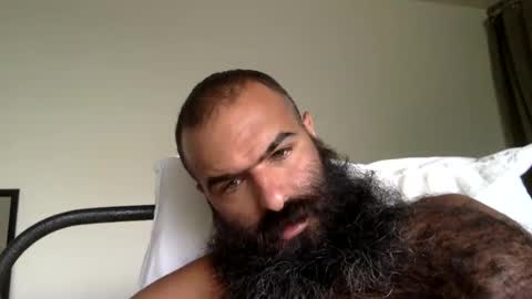 woof_wolf37 online show from September 2025 04:07:01 PM