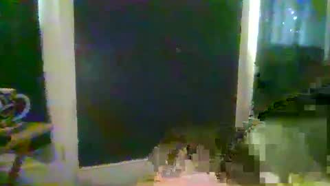 woperator3 online show from December 2024 04:07:02 PM
