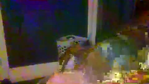 woperator3 online show from January 2025 01:50:01 AM