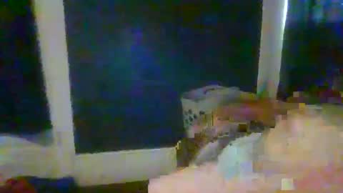 woperator3 online show from January 2025 10:01:02 PM