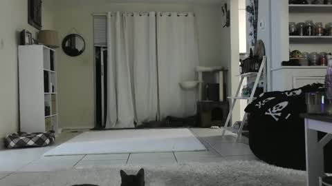 Crystal Lake online show from December 2024 09:22:02 AM