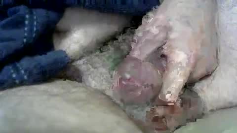 Snapshot of wxherts chatting on March 2025 06:53:02 AM Charles online show from March 2025 06:53:02 AM