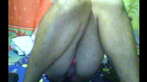 Bella Amor online show from January 2025 01:58:01 PM