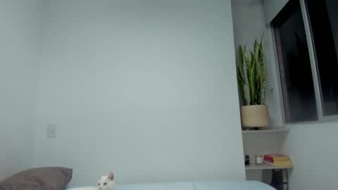 Snapshot of xavier_colleman chatting on September 2025 12:38:01 AM Xavier online show from September 2025 12:38:01 AM