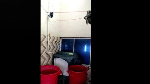 Snapshot of xilongbaby29 chatting on October 2025 01:56:02 PM xilongbaby29 online show from October 2025 01:56:02 PM