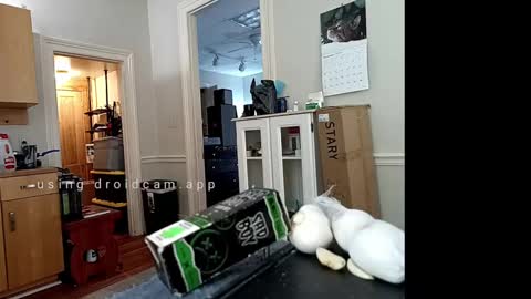 Johnny online show from February 2025 06:24:01 PM