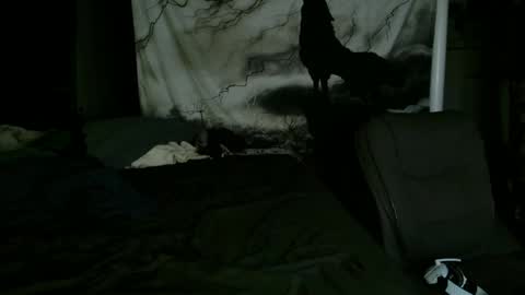 Snapshot of xxxjrstrokesxxx chatting on January 2025 02:15:01 AM xxxjrstrokesxxx online show from January 2025 02:15:01 AM