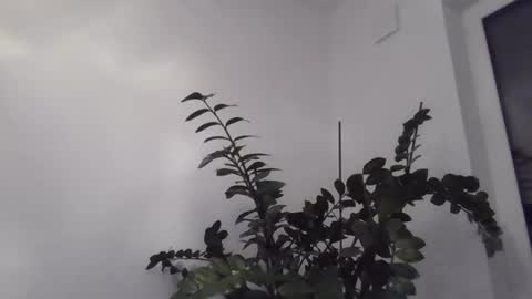 yakijoe online show from October 2025 10:09:02 PM