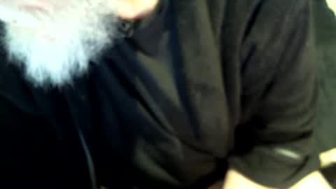 .     y e l l o w s n a k e s       . online show from February 2025 08:02:02 AM
