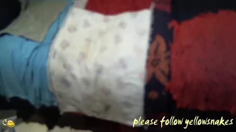 Snapshot of yellowsnakes chatting on November 2025 02:28:01 PM . y e l l o w s n a k e s . online show from November 2025 02:28:01 PM