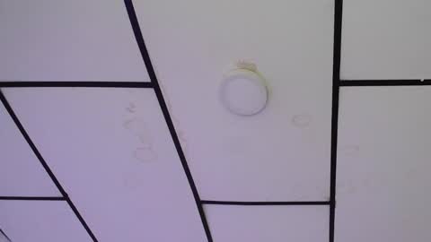 YEM online show from December 2024 01:35:02 PM