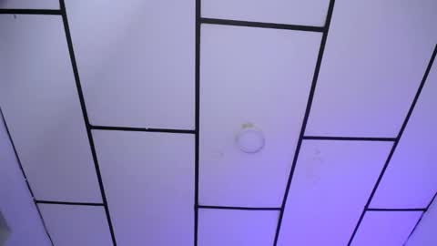 YEM online show from December 2024 09:29:02 PM