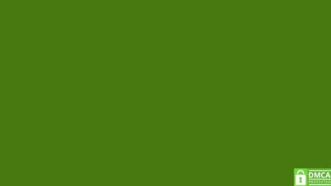 Pipo online show from September 2025 01:34:01 PM