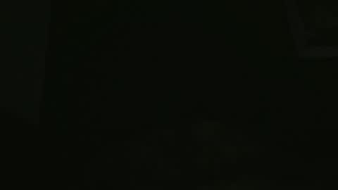 Snapshot of yourpersonalgeniusl chatting on December 2024 11:34:02 AM yourpersonalgeniusl online show from December 2024 11:34:02 AM