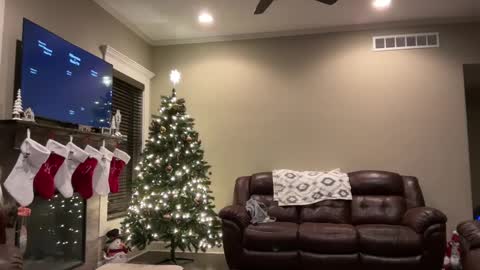 yourstrulylivy online show from December 2024 01:26:01 AM