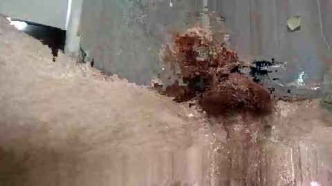 yourwishismypleasure1 online show from November 2025 08:47:01 PM