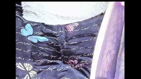 Yukio Davis  online show from October 2025 01:48:02 AM