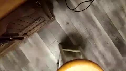 yupthatshim online show from January 2025 05:35:01 AM