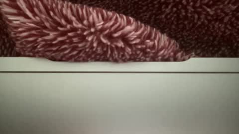 Snapshot of z95141 chatting on October 2025 03:56:02 PM z95141 online show from October 2025 03:56:02 PM